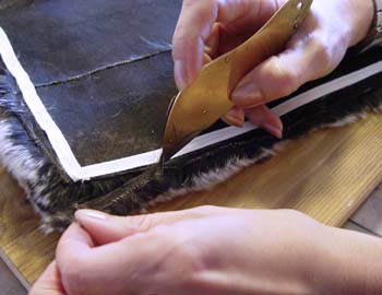 Das Fell für den Taschenkorpus wird nach dem Abzwecken gebändelt und mit dem Kürschnermesser zugeschnitten.
